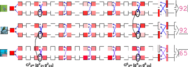 Figure 3 for Feature-dependent Cross-Connections in Multi-Path Neural Networks