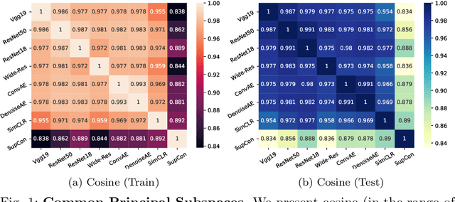 Figure 1 for Exploring the Common Principal Subspace of Deep Features in Neural Networks