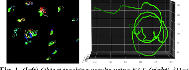 Figure 1 for Unsupervised Discovery of Toxoplasma gondii Motility Phenotypes