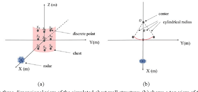 Figure 1 for Simulation and Measurement of Human Respiration and Heartbeat with Millimeter- Wave Radar