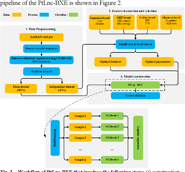 Figure 4 for PtLnc-BXE: Prediction of plant lncRNAs using a Bagging-XGBoost-ensemble method with multiple features