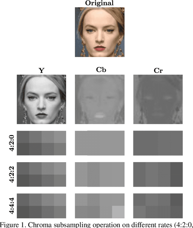 Figure 2 for Does lossy image compression affect racial bias within face recognition?