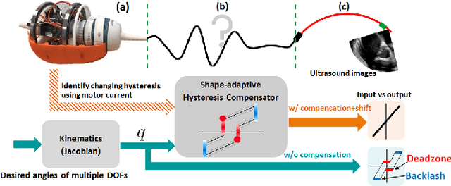 Figure 1 for Shape-adaptive Hysteresis Compensation for Tendon-driven Continuum Manipulators