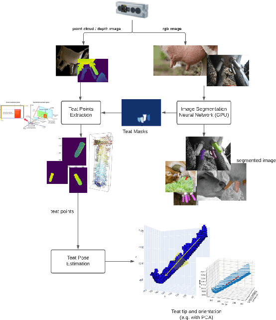 Figure 2 for Teat Pose Estimation via RGBD Segmentation for Automated Milking