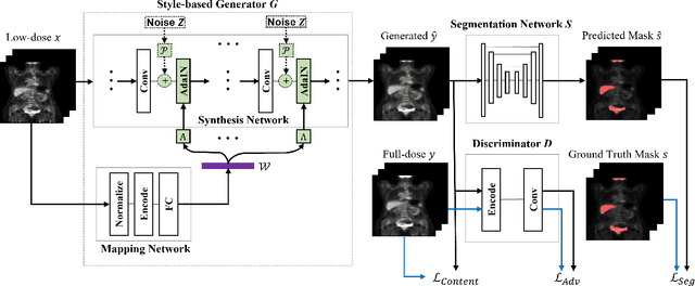 Figure 1 for 3D Segmentation Guided Style-based Generative Adversarial Networks for PET Synthesis