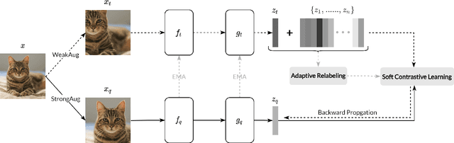 Figure 1 for Adaptive Soft Contrastive Learning