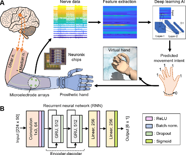 Figure 2 for Artificial Intelligence Enables Real-Time and Intuitive Control of Prostheses via Nerve Interface