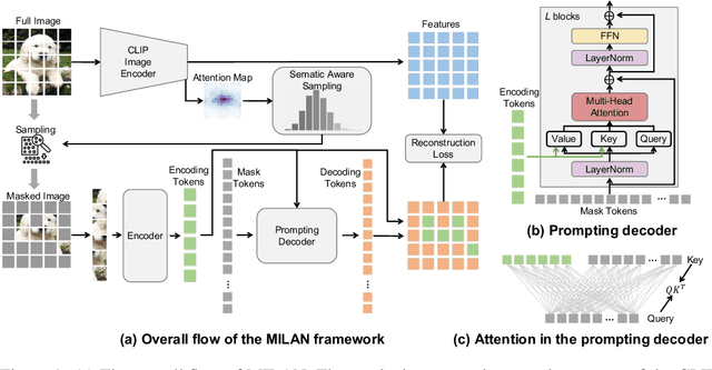 Figure 1 for MILAN: Masked Image Pretraining on Language Assisted Representation
