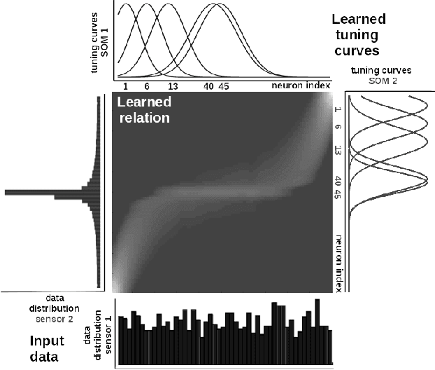 Figure 3 for A Framework for Learning Invariant Physical Relations in Multimodal Sensory Processing