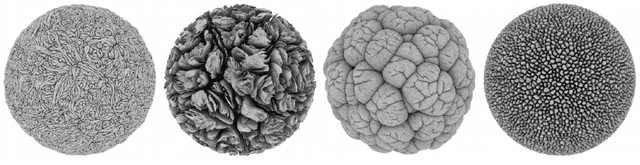 Figure 1 for Understanding Aesthetic Evaluation using Deep Learning