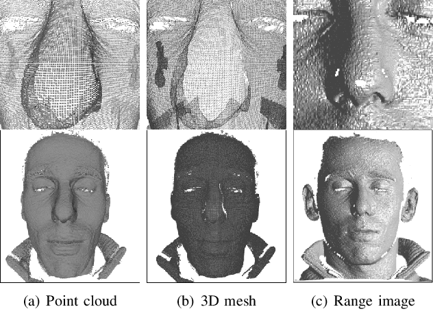 Figure 2 for 3D Face Recognition: A Survey