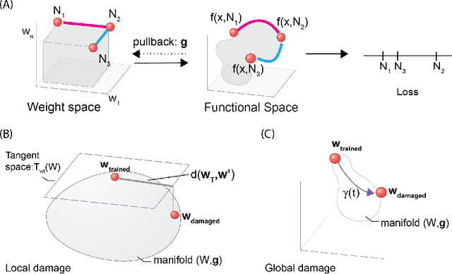 Figure 1 for Geometric algorithms for predicting resilience and recovering damage in neural networks