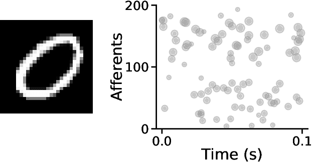 Figure 4 for Synaptic Learning with Augmented Spikes