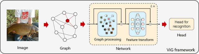Figure 3 for Vision GNN: An Image is Worth Graph of Nodes