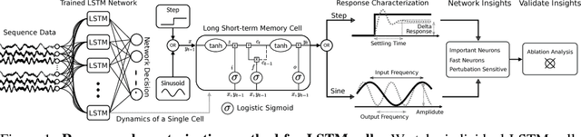 Figure 1 for Response Characterization for Auditing Cell Dynamics in Long Short-term Memory Networks