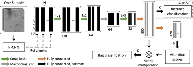 Figure 3 for Attention based Multiple Instance Learning for Classification of Blood Cell Disorders