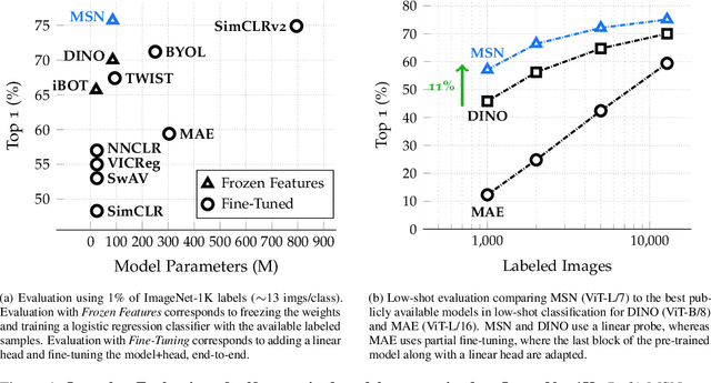 Figure 1 for Masked Siamese Networks for Label-Efficient Learning