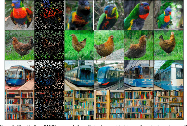 Figure 3 for Masked Siamese Networks for Label-Efficient Learning