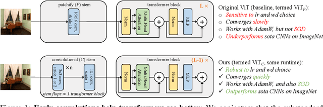 Figure 1 for Early Convolutions Help Transformers See Better