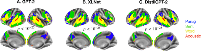 Figure 3 for Model-based analysis of brain activity reveals the hierarchy of language in 305 subjects