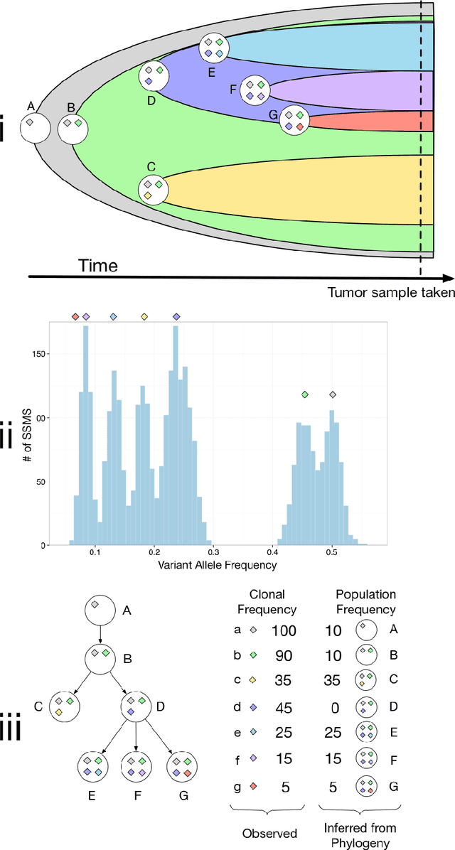 Figure 1 for Comparing Nonparametric Bayesian Tree Priors for Clonal Reconstruction of Tumors