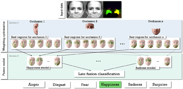 Figure 1 for Facial Expressions Analysis Under Occlusions Based on Specificities of Facial Motion Propagation