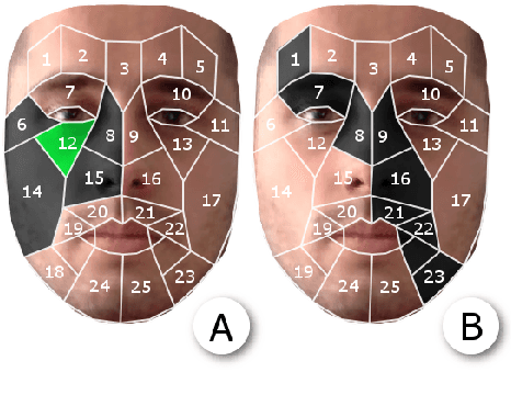 Figure 3 for Facial Expressions Analysis Under Occlusions Based on Specificities of Facial Motion Propagation