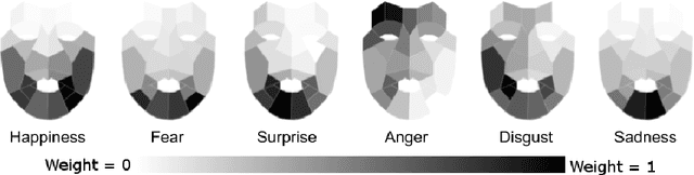Figure 4 for Facial Expressions Analysis Under Occlusions Based on Specificities of Facial Motion Propagation