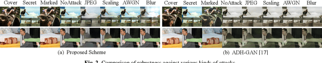 Figure 3 for Hiding Images into Images with Real-world Robustness