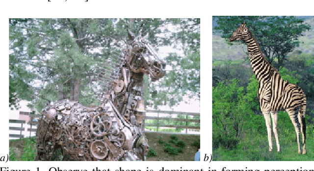 Figure 1 for Shape-Biased Domain Generalization via Shock Graph Embeddings