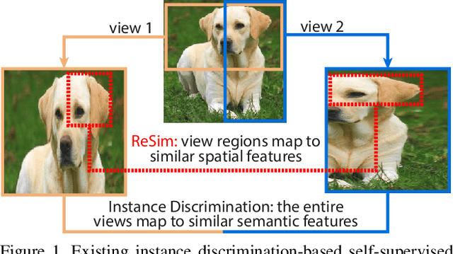 Figure 1 for Region Similarity Representation Learning