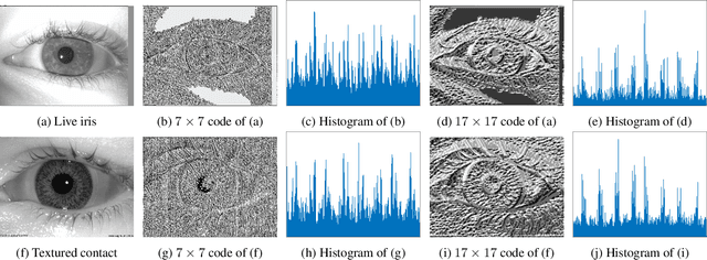 Figure 1 for Open Source Presentation Attack Detection Baseline for Iris Recognition
