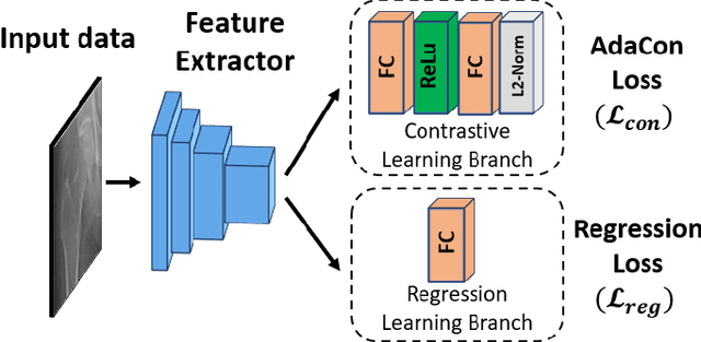 Figure 2 for Adaptive Contrast for Image Regression in Computer-Aided Disease Assessment