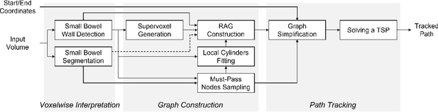 Figure 1 for Graph-Based Small Bowel Path Tracking with Cylindrical Constraints