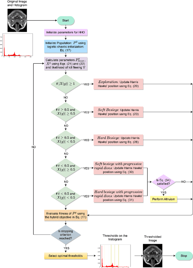 Figure 1 for Segmentation of Brain MRI using an Altruistic Harris Hawks' Optimization algorithm