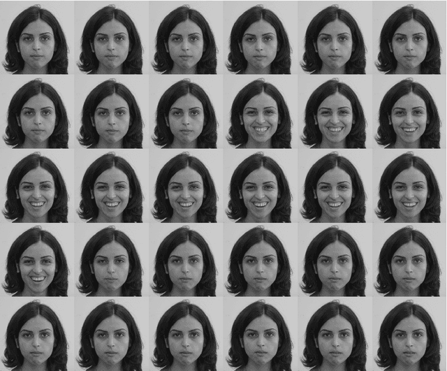 Figure 3 for Segmentation of Facial Expressions Using Semi-Definite Programming and Generalized Principal Component Analysis