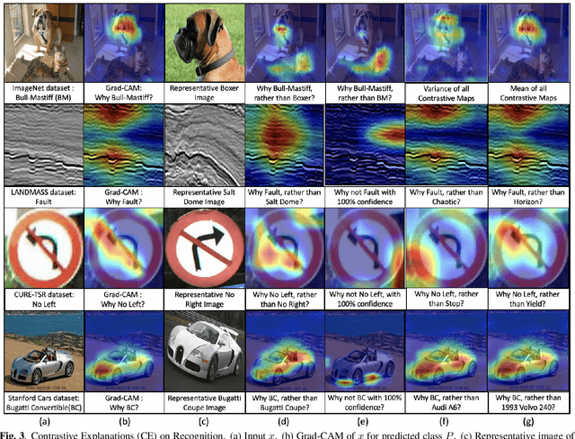 Figure 3 for Contrastive Explanations in Neural Networks