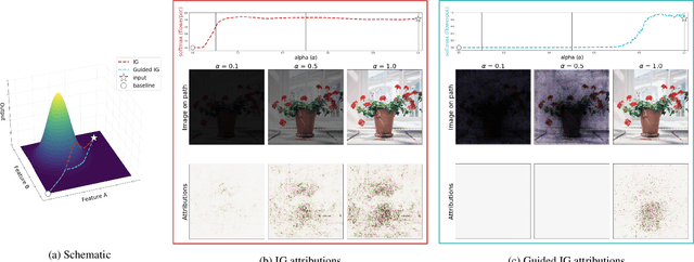 Figure 2 for Guided Integrated Gradients: An Adaptive Path Method for Removing Noise