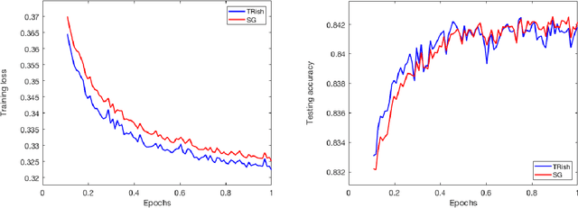 Figure 2 for A Stochastic Trust Region Algorithm Based on Careful Step Normalization