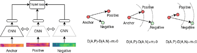 Figure 1 for Triplet loss based embeddings for forensic speaker identification in Spanish