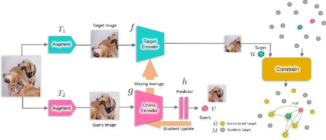 Figure 1 for Constrained Mean Shift for Representation Learning