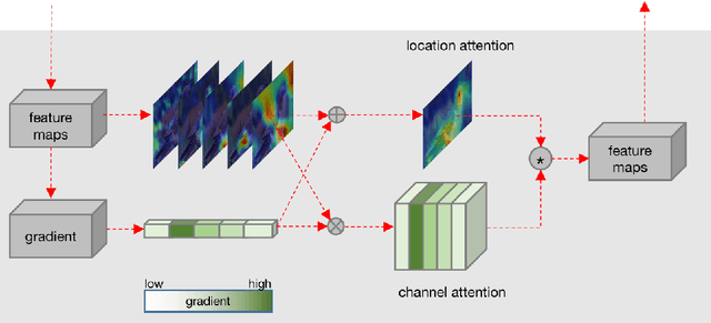 Figure 4 for Interpretable Attention Guided Network for Fine-grained Visual Classification