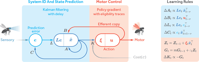 Figure 2 for Neural optimal feedback control with local learning rules