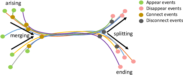 Figure 1 for A computational geometry approach for modeling neuronal fiber pathways