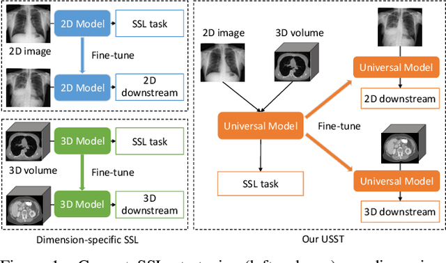 Figure 1 for Unified 2D and 3D Pre-training for Medical Image classification and Segmentation