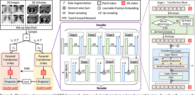 Figure 3 for Unified 2D and 3D Pre-training for Medical Image classification and Segmentation