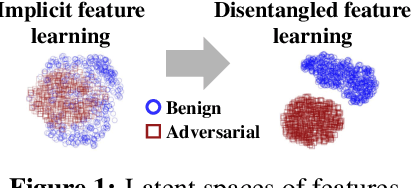 Figure 1 for Learning to Disentangle Robust and Vulnerable Features for Adversarial Detection