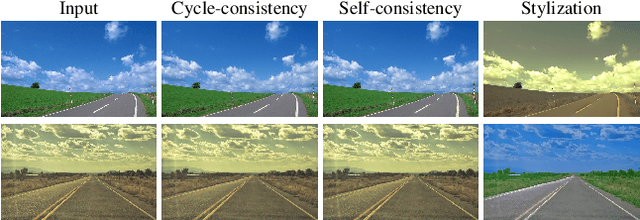 Figure 2 for Photo style transfer with consistency losses