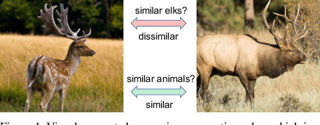 Figure 1 for Dynamic Metric Learning: Towards a Scalable Metric Space to Accommodate Multiple Semantic Scales