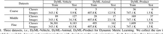 Figure 2 for Dynamic Metric Learning: Towards a Scalable Metric Space to Accommodate Multiple Semantic Scales